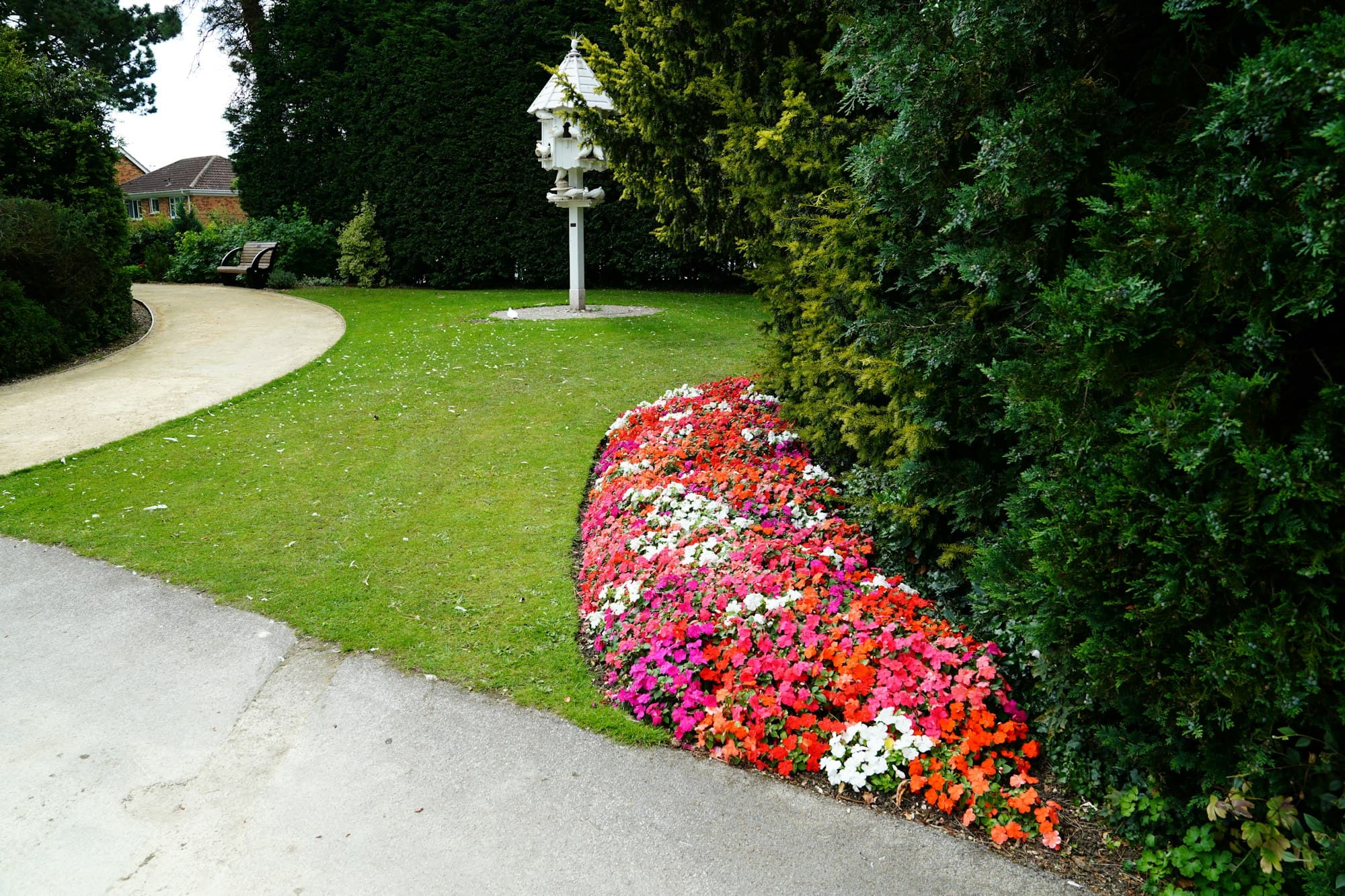 Farbenfrohes Blütenbeet mit Impatiens entlang eines geschwungenen Kieswegs